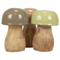 Artikel Träsvampar dekorativa svampar träbeige, grön Ø5cm 7,5cm 12st