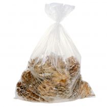 Artikel Kotar Pinus Kotar kräm blandad 5-18cm 25 st