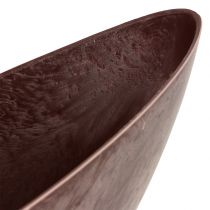 Växtskål Bordeaux 39cm x 12cm H13cm 1st