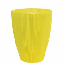 Artikel Plisserade muddar gula 14,5cm 100 st