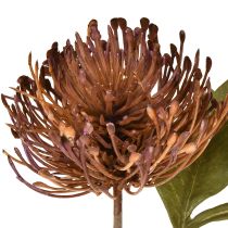 Artikel Protea konstgjord nåldyna Leucospermum lila 30cm 6 st