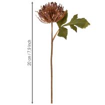 Artikel Protea konstgjord nåldyna Leucospermum lila 30cm 6 st