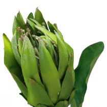 Artikel Protea Grön Röd Konstgjord Blomma Konstgren L65cm Ø5,5cm