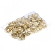 Artikel Pumpa Dekoration Bell Cup Pumpa Cup blekt 50 st