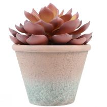 Artikel Suckulentväxt i kruka Echeveria konstgjord röd årgång Ø15cm H16cm