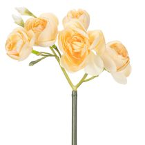 Artikel Ranunkelblomgren för dekorativa vasarrangemang, 32 cm, 5 stycken
