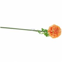 Artikel Ranunculus lax H45cm