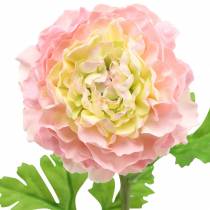 Artikel Ranunculus rosa H45cm