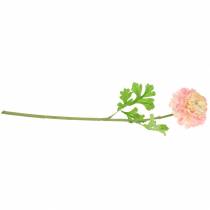 Artikel Ranunculus rosa H45cm