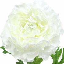 Artikel Ranunculus White H45cm