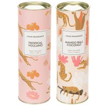 Artikel Rumsdoftdiffusor med exotisk kokos- och mangodoft för långvarig fräschör hemma, 19 cm, 2 stycken