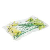 Artikel Trälarv på pinnegrön, gul 8cm 24 st