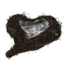 Artikel Vinehjärta för plantering av naturen 30cm x 25cm