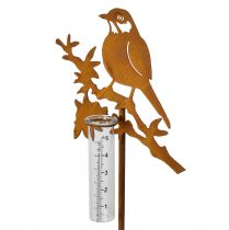 Artikel Regnmätare trädgårdsplugg rostfågel 23x7,5x110cm