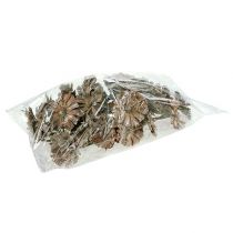 Artikel Repens rosett 6-7cm vittvättad 25 st