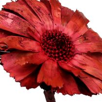 Artikel Repens Rosett Erika 8cm - 9cm 25 st