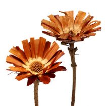 Artikel Repens Rosett Super 10 - 12cm 20 st
