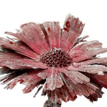 Protea rosett ljung frostad Ø8-9cm 25st