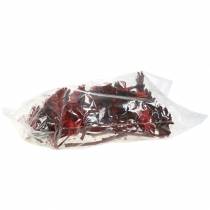 Artikel Repens Rosett Röd 8cm - 9cm 25 st