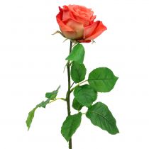 Artikel Rose artificiell blomma lax 67,5cm