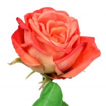 Artikel Rose artificiell blomma lax 67,5cm