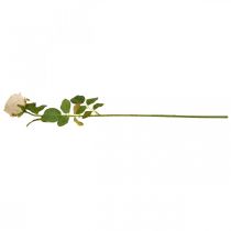 Artikel Rose krämfärg, sidenblomma, konstgjord ros L74cm Ø7cm