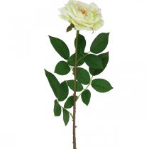 Artikel Konstgjord ros, dekorativ ros, sidenblomma krämvit, grön L72cm Ø12cm