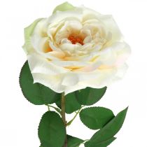 Artikel Krämig vit aprikosros, sidenblomma, konstgjorda rosor L72cm Ø12cm