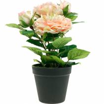 Artikel Dekorativ ros i kruka, romantiska sidenblommor, rosa pion