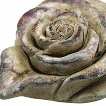 Betongrosa hjärtgrå, violett Ø13 H5cm 3st