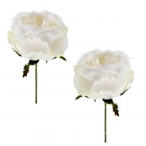 Rose blossom white 17cm 4st