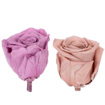 Artikel Konserverade rosenhuvuden, romantisk present, hållbara rosor för speciella tillfällen, 5 cm, 6 stycken