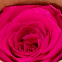 Artikel Konserverade rosdekorationer, riktiga blommor för bordsdekoration, unika och hållbara blommor, 5 cm, 6 stycken