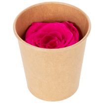 Artikel Konserverade rosdekorationer, riktiga blommor för bordsdekoration, unika och hållbara blommor, 5 cm, 6 stycken