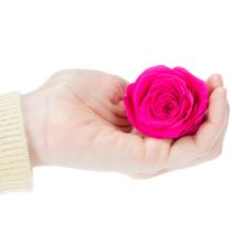 Artikel Konserverade rosdekorationer, riktiga blommor för bordsdekoration, unika och hållbara blommor, 5 cm, 6 stycken