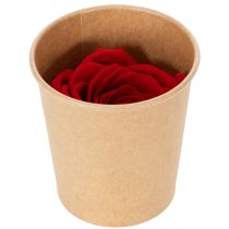 Artikel Konserverade rosor Dekorativ romantisk accent för vardagsrum eller bröllop 5 cm 6 st