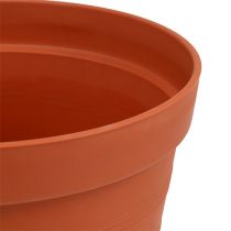 Artikel Rosenkruka plast 19cm terrakotta 1 st