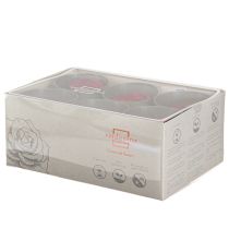 Artikel Röda rosor Infinity Roses Äkta roshuvuden Röda Ø6cm 6 st