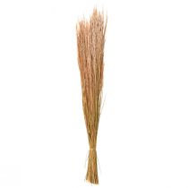 Artikel Röd Böjt Gräs Agrostis Torrt Gräs Röd Brun 65cm 80g