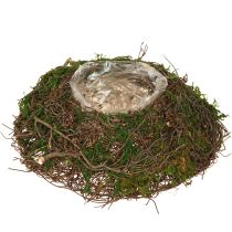 Artikel Rund planteringslåda mossrankor med folie Ø20cm H7cm