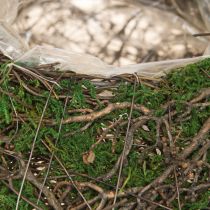 Artikel Rund planteringslåda mossrankor med folie Ø20cm H7cm