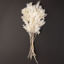 Artikel Ruscusgrenar dekorativa grenar torkade blommor blekta 10 st