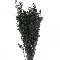 Ruscus grenar dekorativa grenar torkade blommor svarta 200g