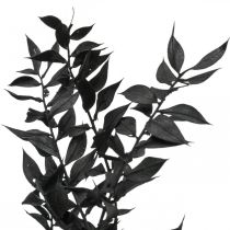 Ruscus grenar dekorativa grenar torkade blommor svarta 200g
