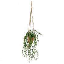 Konstgjorda suckulenter hängande konstgjord växt i kruka 34cm