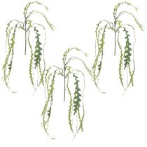 Artikel Konstsågblad Cactus Epiphyllum anguliger L68cm 3 st