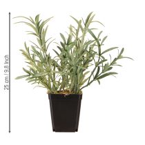 Artikel Salvia i kruka Salvia Lavandulifolia Konstgjord H25cm