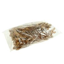 Artikel Salignum light 4-6 blommor på Leucadendron-grenen 100 st