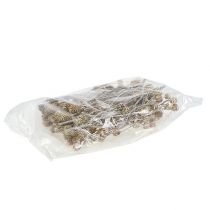 Artikel Salignum vitkalkad protea på stjälk 25 st