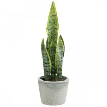 Konstgjord hampa, grön växt i kruka, Sansevieria H39cm Ø12cm